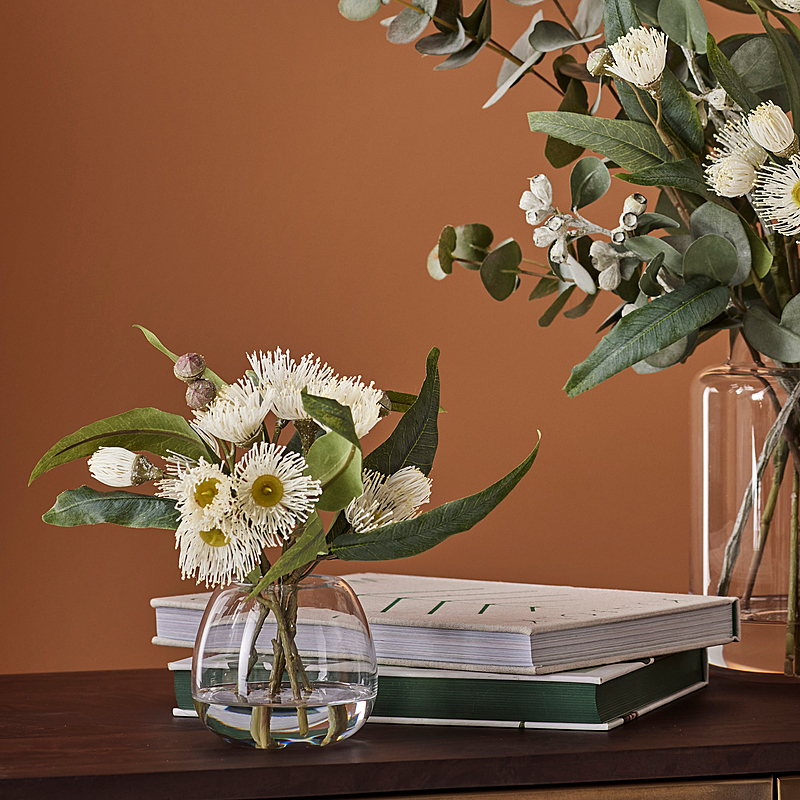 EUCALYPTUS FLOWERING Vase 1 EUCALYPTUS FLOWERING Vase