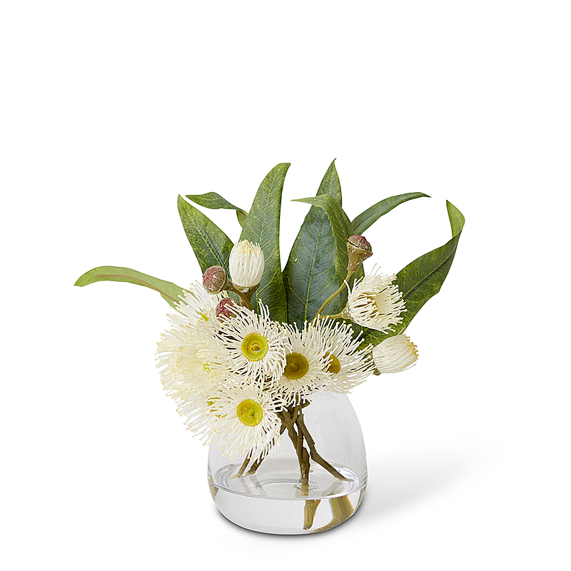 EUCALYPTUS FLOWERING Vase 6 EUCALYPTUS FLOWERING Vase