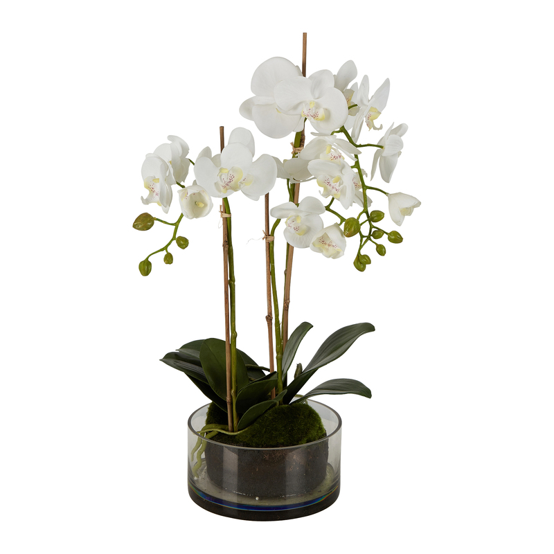 ORCHID GLASS POT Faux Flower