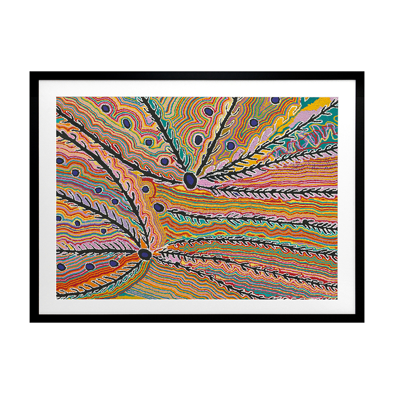 WAKIRLPIRRI JUKURRPA MULTI Framed Print 4 WAKIRLPIRRI JUKURRPA MULTI Framed Print